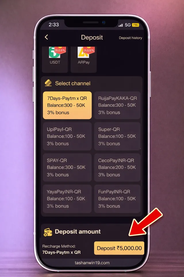 TP Play deposit screen showing available payment channel options